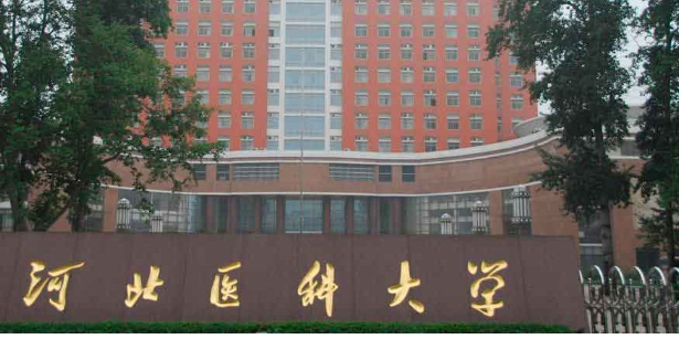Hebei Medical University Study & Scholarships