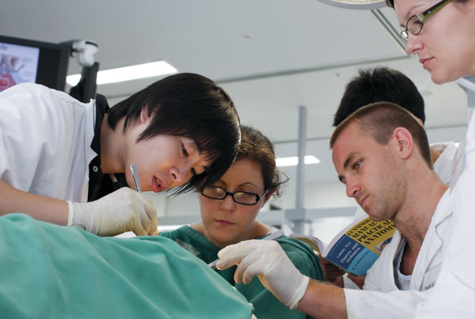 Application Process and Deadlines