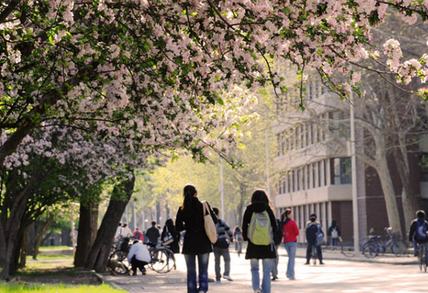 Analysis of Why It Is the Most Affordable